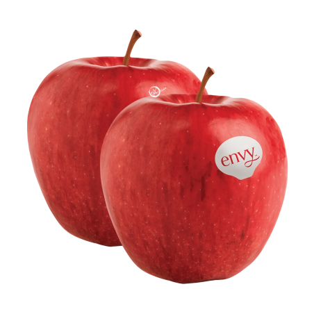 USA Envy Apple Large
