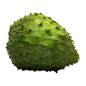 Malaysia Soursop 1s Malaysia Soursop 1s